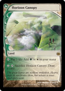 Horizon Canopy - Foil